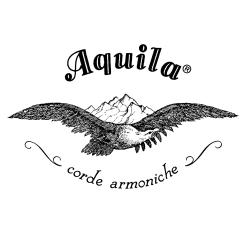 Aquila