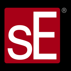 sE Electronics