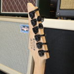 Ibanez RG421QM-CBB Elektromos Gitár (Használt)