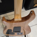 PRS SE Custom24 Elektromos Gitár (Használt) PRS SE Custom24 Elektromos Gitár (Használt)