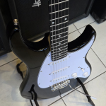 Peavey Raptor Elektromos Gitár (használt)