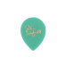 Ibanez B1000JS John Scofield Flat Pick Signature Pengető