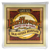 Ernie Ball Earthwood Bronz Silk & Steel Akusztikus Gitárhúr