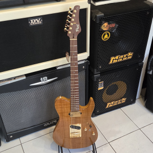 FGN Expert Iliad EW Vintage Natural Elektromos gitár