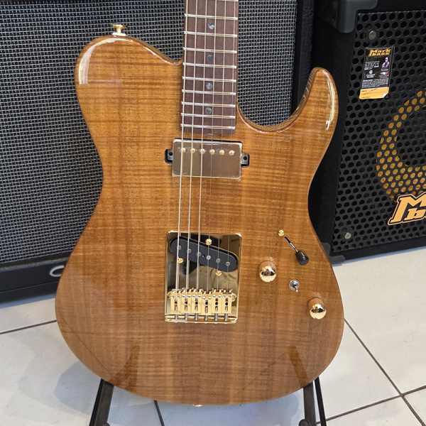 FGN Expert Iliad EW Vintage Natural Elektromos gitár