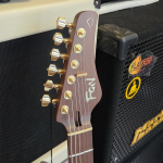 FGN Expert Iliad EW Vintage Natural Elektromos gitár
