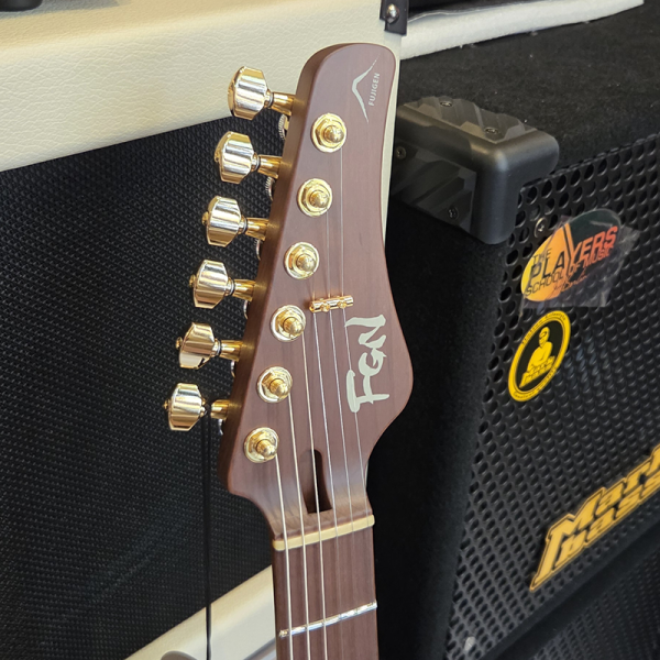 FGN Expert Iliad EW Vintage Natural Elektromos gitár