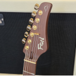 FGN Expert Iliad EW Vintage Natural Elektromos gitár