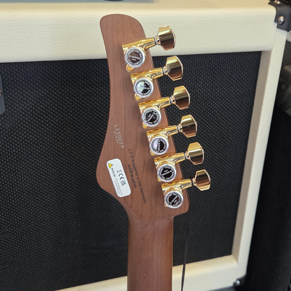 FGN Expert Iliad EW Vintage Natural Elektromos gitár