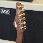 FGN Expert Iliad EW Vintage Natural Elektromos gitár