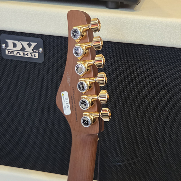 FGN Expert Iliad EW Vintage Natural Elektromos gitár