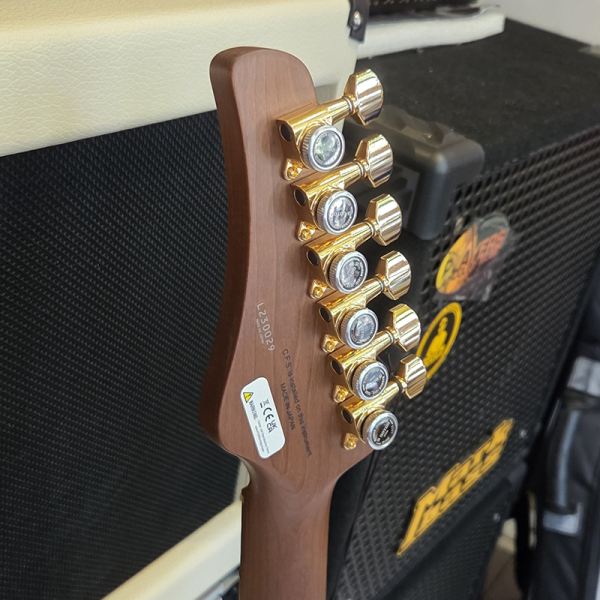 FGN Expert Iliad EW Vintage Natural Elektromos gitár