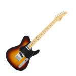 FGN Boundary Iliad SS Telecaster Elektromos Gitár