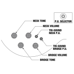 Ibanez AR420-BMG Elektromos Gitár