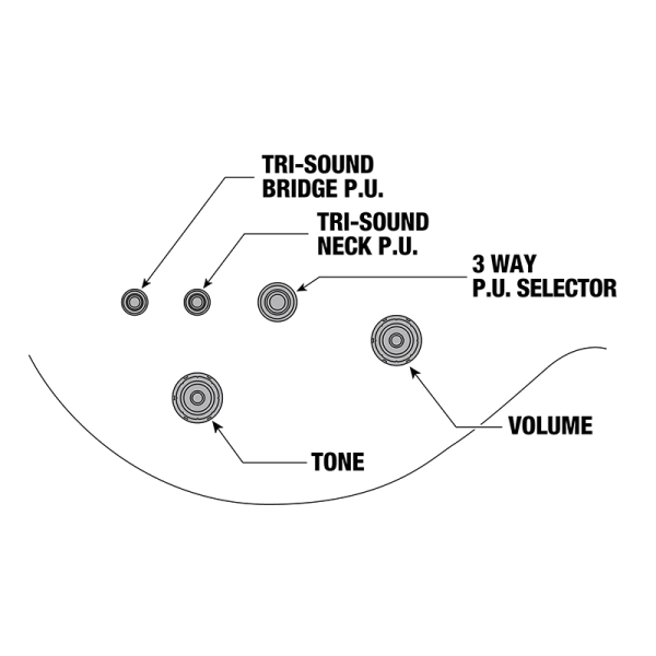 Ibanez AR520HME-NT Elektromos Gitár 