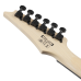 Ibanez GRG120QASP-BGD Elektromos Gitár Ibanez GRG120QASP-BGD Elektromos Gitár