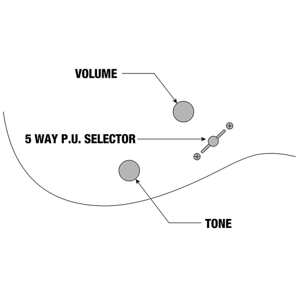 Ibanez GRGR221FA-TDK Elektromos gitár