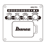 Ibanez AAD51LCE-DVS Balkezes Elektro-akusztikus Gitár