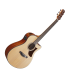 IBANEZ AAM50CE-OPN Advanced Auditorium Elektro-Akusztikus Gitár IBANEZ AAM50CE-OPN Advanced Auditorium Elektro-Akusztikus Gitár